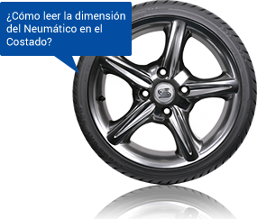 Dimensiín del Neumático en el Costado de GT Tire